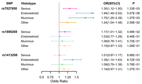 The association between three variants and EOC risk stratified by histological subtype.