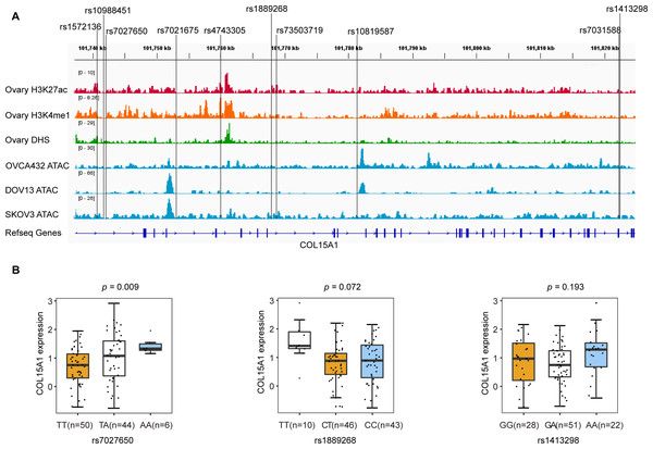 Epigenetic annotations and eQTL analysis for three candidate variants.