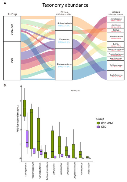 Comparison of bacterial composition between groups.