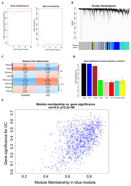 Weighted Co-expression Network Analysis (WGCNA).