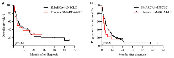 Kaplan‒Meier analysis of patients with SMARCA4-dNSCLC and thoracic SMARCA4-UT.