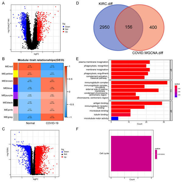 Identification and functional annotation of shared genes.