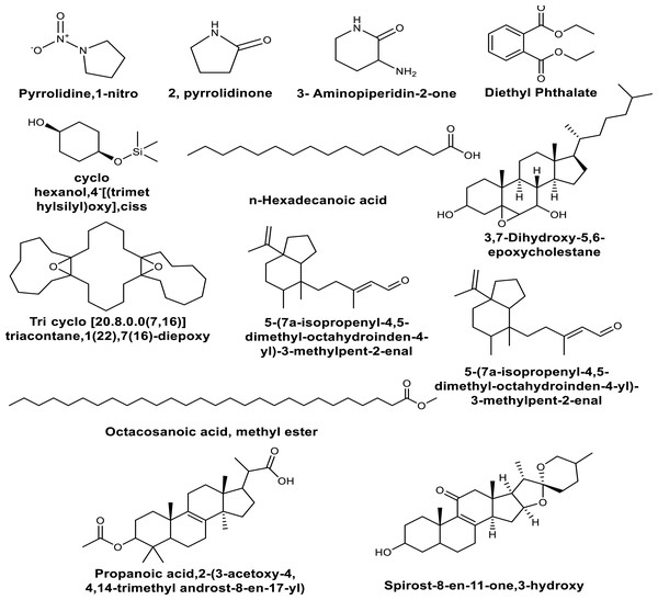 Some compounds identified by GC-MS analysis of the methanolic extracts of in vitro leaf callus derived from in vivo grown plants of Momordica cymbalaria.