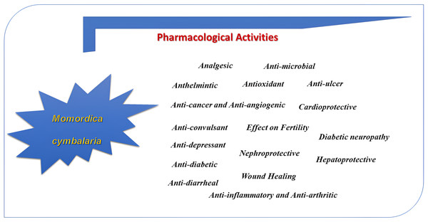Pharmacological activities of Momordica cymblaria.