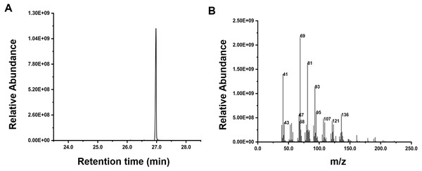 GC-MS analysis of the reaction products catalyzed by purified recombinant RrFPPS1 incubated with IPP and DMAPP.