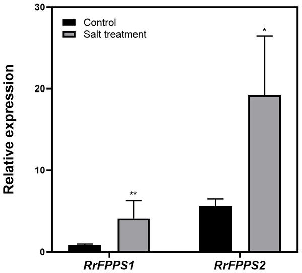 Change fold in RrFPPSs RNA levels in response to salt treatment.