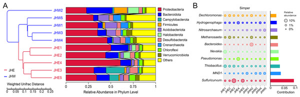 Distribution of species abundance in collected samples by phylum and genus classification.