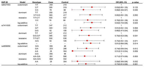 The significant association between rs6427553, rs7411035 and rs4656958 and IS risk.