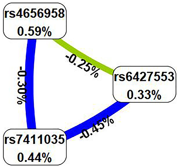 In the circle graph, the interaction between rs6427553, rs7411035 and rs4656958 was antagonistic, with the information gain value of −0.25%, −0.45%, and −0.30%.