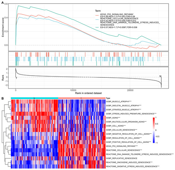 Enrichment analysis for bulk RNA-seq data.