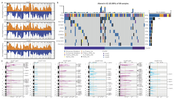 Differential analysis of cellular senescence-related subtype mutations.