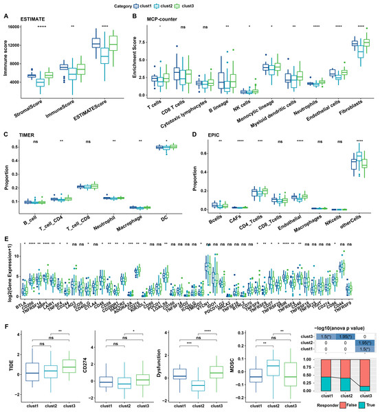 Immune characterization of cellular senescence-related subtypes in TCGA dataset.
