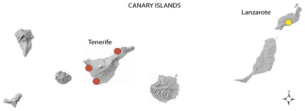 Localities with a presence of Reticulitermes flavipes in the Canary Islands.