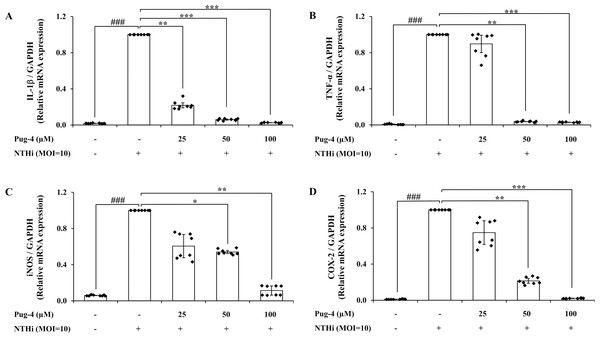 Pug-4 peptide inhibited IL-1β, TNF-α, iNOS and COX-2 mRNA expression in NTHi-infected A549 cells.