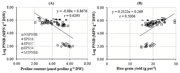 Correlations between PNSB soil population and (A) leaf, stem proline content and (B) grain yield.
