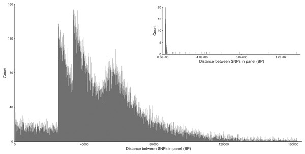 Distribution of inter-loci distances in base pairs between neighboring SNP loci in the 50k assay.