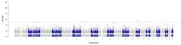 Manhattan plot of significant SNPs across the genome.