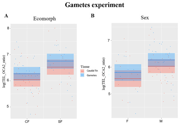 Plots showing significant relationships in experiment with gametes.