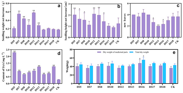 The growth-promoting effect of endophytic fungi.