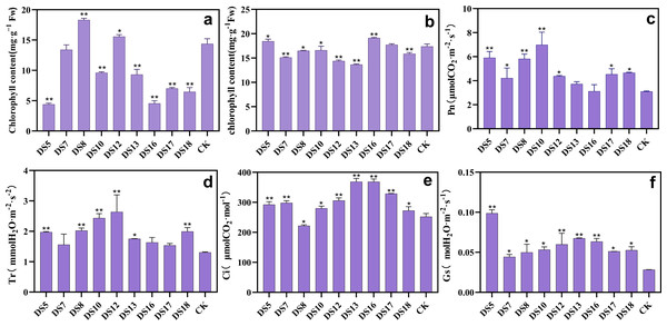 Effects of nine strains of endophytic fungi on photosynthesis of Salvia miltiorrhiza.