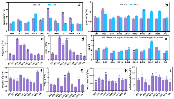 Effects of nine strains of endophytic fungi on C and N metabolism in Salvia miltiorrhiza.