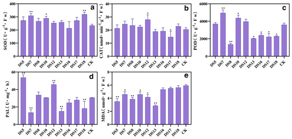 Effect of nine strains of endophytic fungi on the resistance system of Salvia miltiorrhiza cultured in vitro.