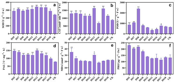 Effects of nine strains of endophytic fungi on the resistance system of Salvia miltiorrhiza in situ culture.