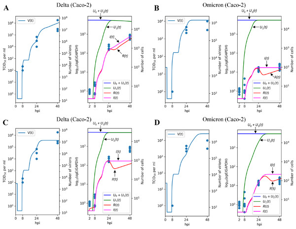 Results of parameter fitting for Caco-2 cell line.