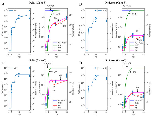 Results of parameter fitting for Calu-3 cell line.