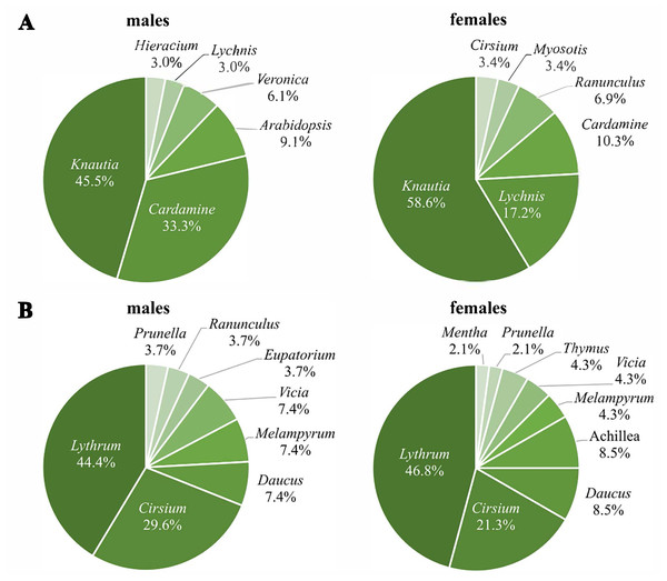 Percentages of visited plant genera by Boloria selene males (left) and females (right) of the first (A) and the second (B) generation.