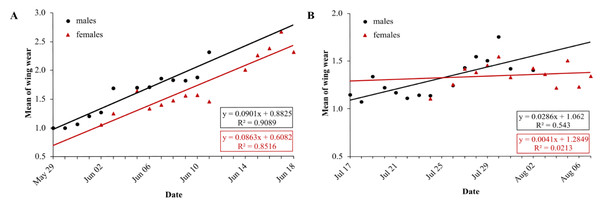 Daily average wing condition of males (black) and females (red) of Boloria selene in the first (A) and second (B) generation.