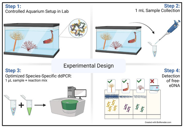 Aquarium experimental design.