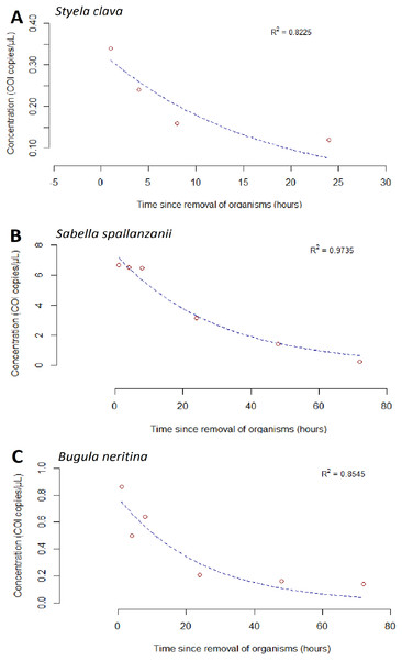 Exponential model for detected extracellular free floating environmental DNA for non-indigenous species after organism removal.