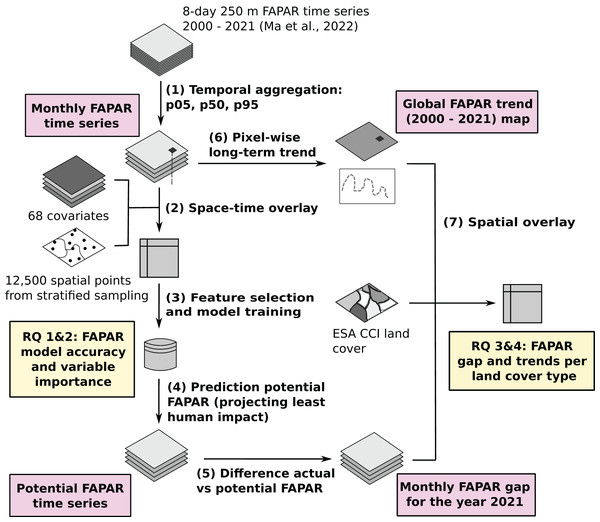 General workflow of the data analysis and modeling with main inputs, outputs and the main research questions (Ma et al., 2022).