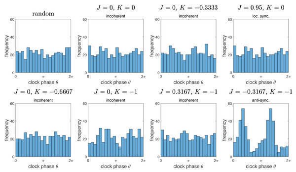 Histograms of distributions of clock phases for some of the simulations from Fig. 2.