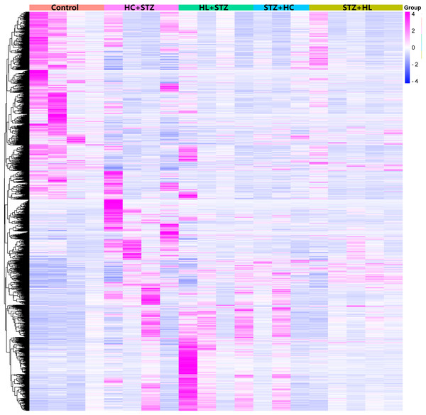 Heatmap of the DEGs in the different groups.