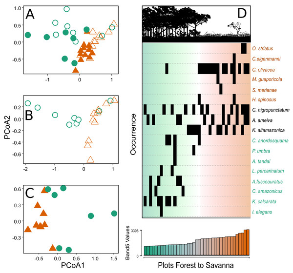 Principal coordinate analysis depicting the species turnover between plots along the environmental gradient.