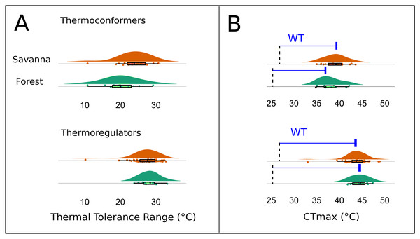 Thermal and warming tolerance of the lizard community across two habitat types and their thermoregulatory modes.