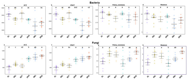 α-diversity estimates of samples.