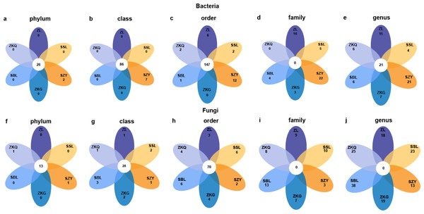 Petal diagrams of bulk soil microorganisms in different forest stands at different levels.