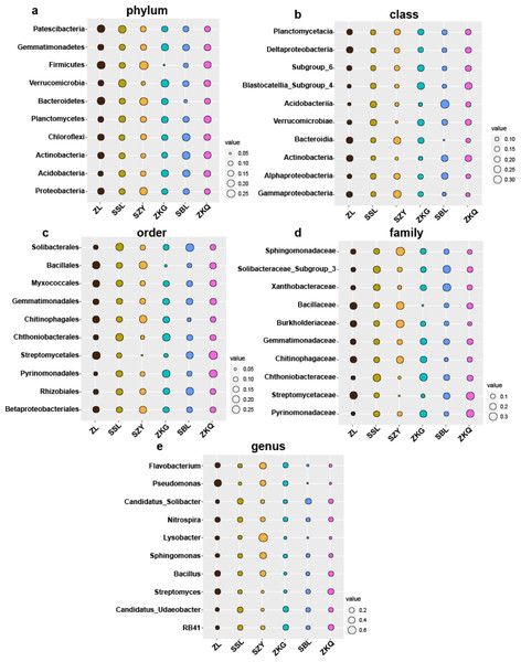 Biomarker bubble diagram of bacterial at different levels in different forest stands.