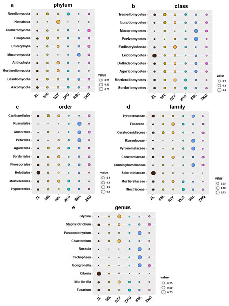 Biomarker bubble diagram of fungal at different levels in different forest stands.