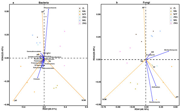 Three-dimensional ranking of soil bacteria (A) and fungi (B) at phylum level and soil physical and chemical properties in different forest stands.