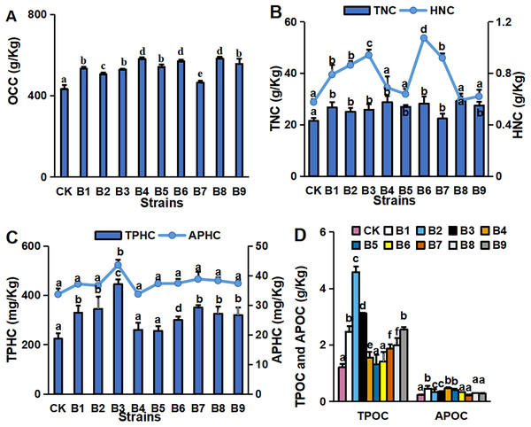 Nutritive element contents in blueberry cutting-seedlings rhizospheres.