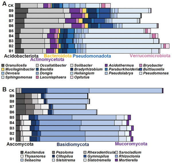 The distribution of microorganism with relative abundance greater than or equal to 1% in blueberry cutting-seedlings rhizospheres.