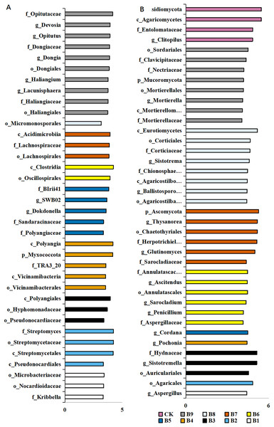 LEfSe analysis of differentially abundant classes, orders, families and genera of microorganism in blueberry cutting-seedlings rhizospheres.