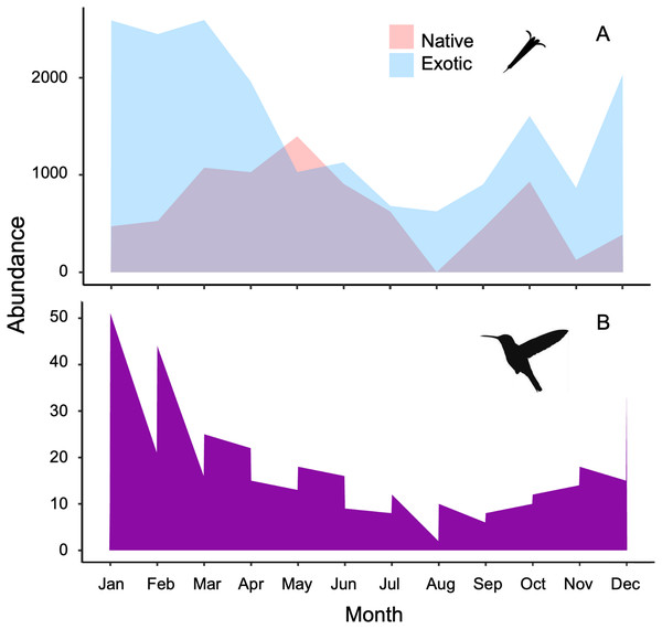 Stacked area charts illustrate the monthly abundance of (A) native and exotic plants, as well as (B) hummingbirds, recorded over the course of 1 year.