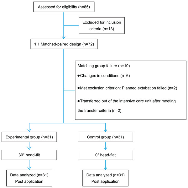 Flow diagram of the study.