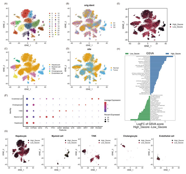 Single-cell landscape overview of GSE189175.