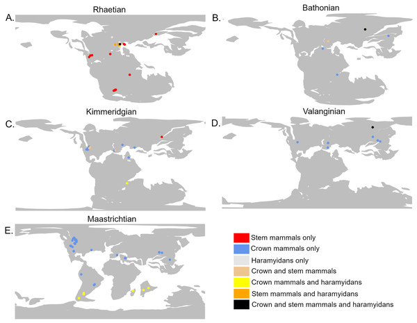 The geographic location of mammal fossils on palaeocontinental reconstructions.